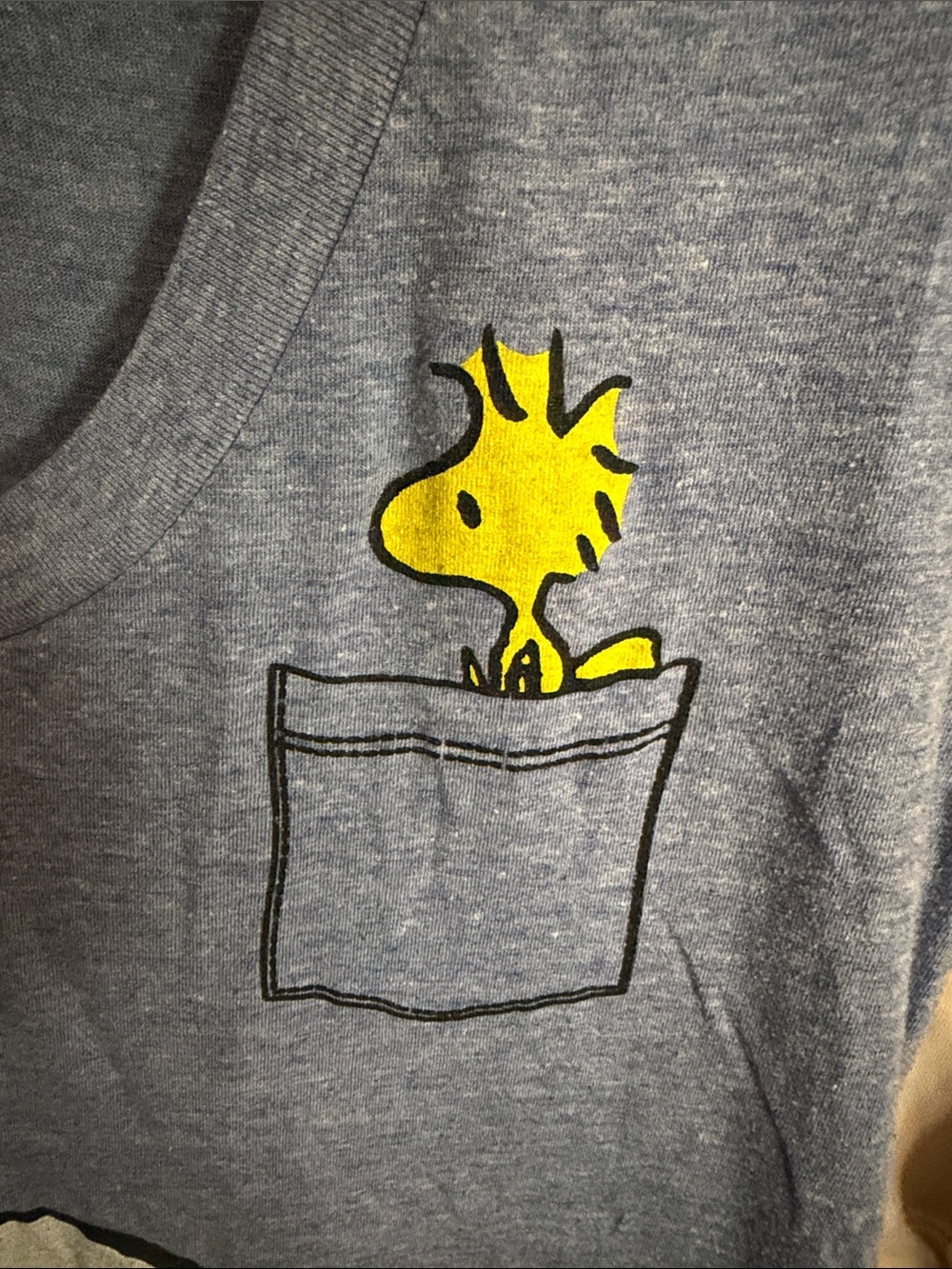 Peanuts Blue V-Neck Tee with Snoopy & Woodstock Pocket Art - Picture 2 of 4